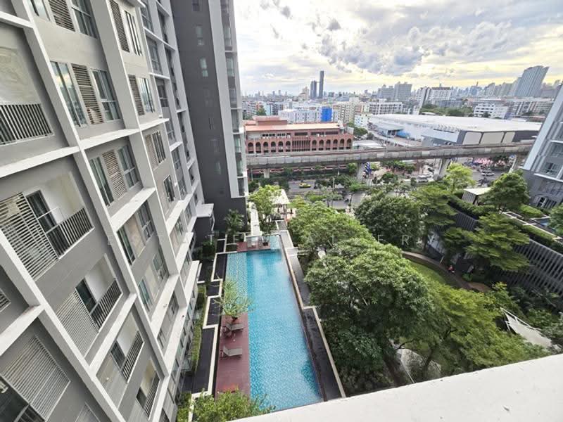 IDEO MOBI Sukhumvit 81, Bangkok, 2097 Sukhumvit Road, Bang Chak, Phra Khanong, Bangkok, Studio, 22 sqm, Condo For Rent, by Estate Gallery, 7944972 - DDproperty.com