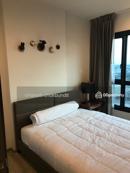 The Base Height Mittraphap-Khon Kaen : เดอะ เบส ไฮท์ มิตรภาพ - ขอนแก่น, ขอนแก่น, 333 ถ. มิตรภาพ, ในเมือง, เมืองขอนแก่น, ขอนแก่น, 30 ตร.ม., คอนโด ขาย, โดย chanwit chokbundit, 7945651 - DDproperty.com