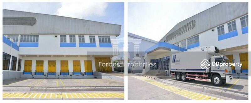 For Sale - 39774 ขาย ห้องเย็น โกดัง 2, 647 ตร. ม. ในนิคมฯ บางพลี | 39774