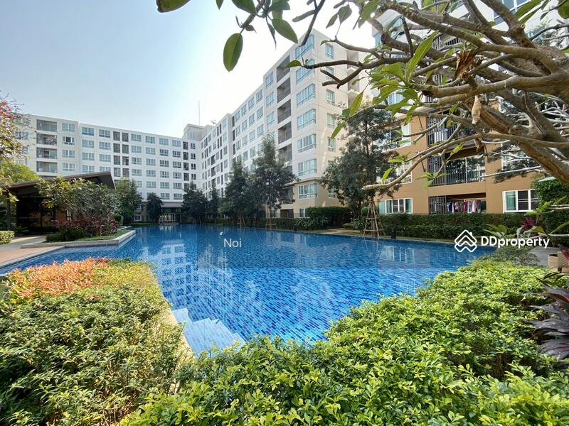 For Rent - Dcondo Nim, Chiang Mai