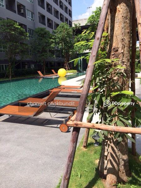 Elio Sukhumvit 64, Bangkok, 99 Soi Sukhumvit 64, Bang Chak, Phra Khanong, Bangkok, 1 Bedroom, 31 sqm, Condo For Rent, by chanwit chokbundit, 8008675 - DDproperty.com