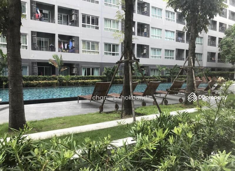 Elio Sukhumvit 64 : เอลลิโอ สุขุมวิท 64, กรุงเทพ, 99 ซอยสุขุมวิท 64, บางจาก, พระโขนง, กรุงเทพ, 31 ตร.ม., คอนโด ให้เช่า, โดย chanwit chokbundit, 8008675 - DDproperty.com