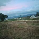 ขายที่ดินริมถนนใหญ่หนองสาหร่าย-วังน้ำเขียว 3 ไร่ ใกล้ทายาม่า ไร่ละ 6 ล้าน, นครราชสีมา