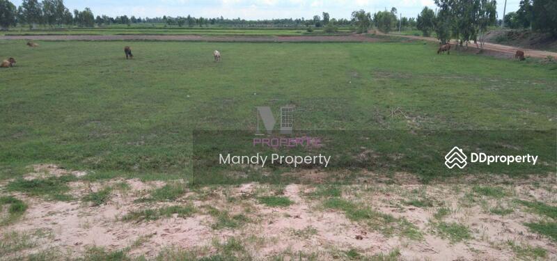 For Sale - Land for sale in Roi Et on 3 sides of the road, Roi Et
