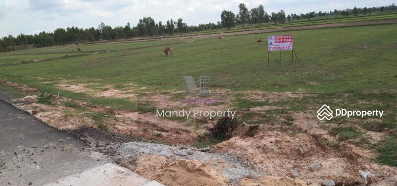 For Sale - Land for sale in Roi Et on 3 sides of the road, Roi Et