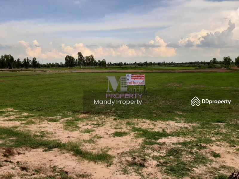 For Sale - Land for sale in Roi Et on 3 sides of the road, Roi Et