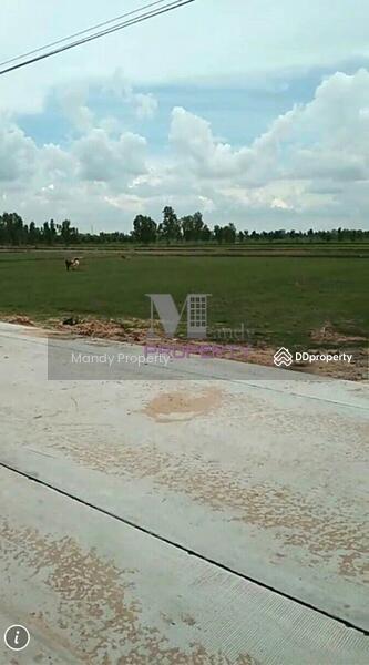 For Sale - Land for sale in Roi Et on 3 sides of the road, Roi Et