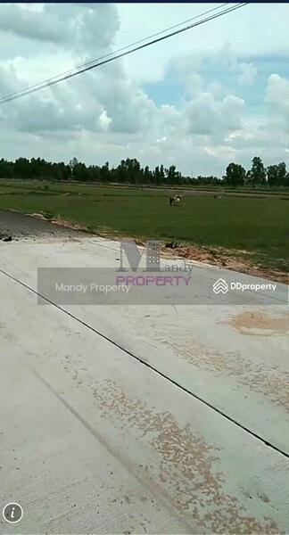 For Sale - Land for sale in Roi Et on 3 sides of the road, Roi Et