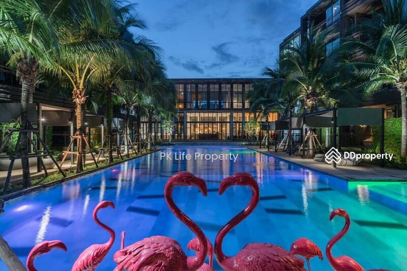 Saturdays Residence, Phuket, Soi Saturdays, Rawai, Muang Phuket, Phuket, 1 Bedroom, 57 sqm, Condo For Rent, by PK LIFE Property, 8030382 - DDproperty.com