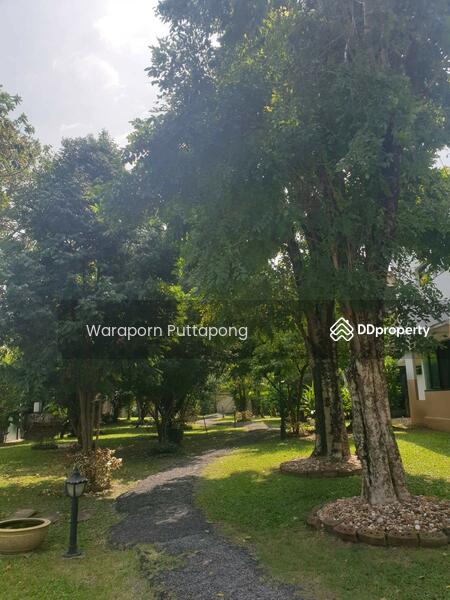 Muang Ake Village : หมู่บ้านเมืองเอก, ปทุมธานี, ถนนเมืองเอก, หลักหก, เมืองปทุมธานี, ปทุมธานี, 2,500 ตร.ม., บ้านเดี่ยว ขาย, โดย Waraporn Puttapong, 8037388 - DDproperty.com