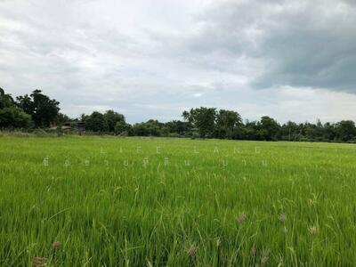 ขาย - ที่ดินเปล่า สิงห์บุรี ราคาถูกมาก ติดฝาย, สิงห์บุรี