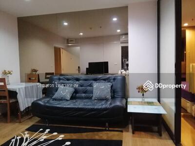 ขาย - The Tree Interchange : เดอะ ทรี อินเตอร์เชนจ์, กรุงเทพ