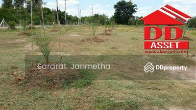 ขาย - ขายที่ดิน13ไร่ ที่ดินติดถนนพร้อมไฟฟ้า ขายพร้อมบ้านปูน หนองราชวัตร, สุพรรณบุรี