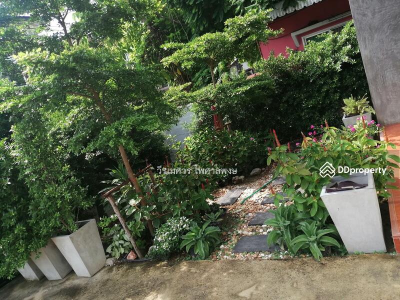 ขายถูกมาก!! บ้านเดี่ยว-สไตล์ Loft ซอยลาดพร้าว 101 (ใกล้รถไฟฟ้าสีเหลือง 2.1 Km.) 50 ตร.ว. 165 ตร.ม.