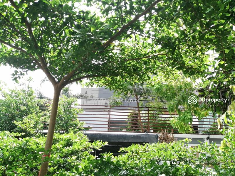 ขายถูกมาก!! บ้านเดี่ยว-สไตล์ Loft ซอยลาดพร้าว 101 (ใกล้รถไฟฟ้าสีเหลือง 2.1 Km.) 50 ตร.ว. 165 ตร.ม.