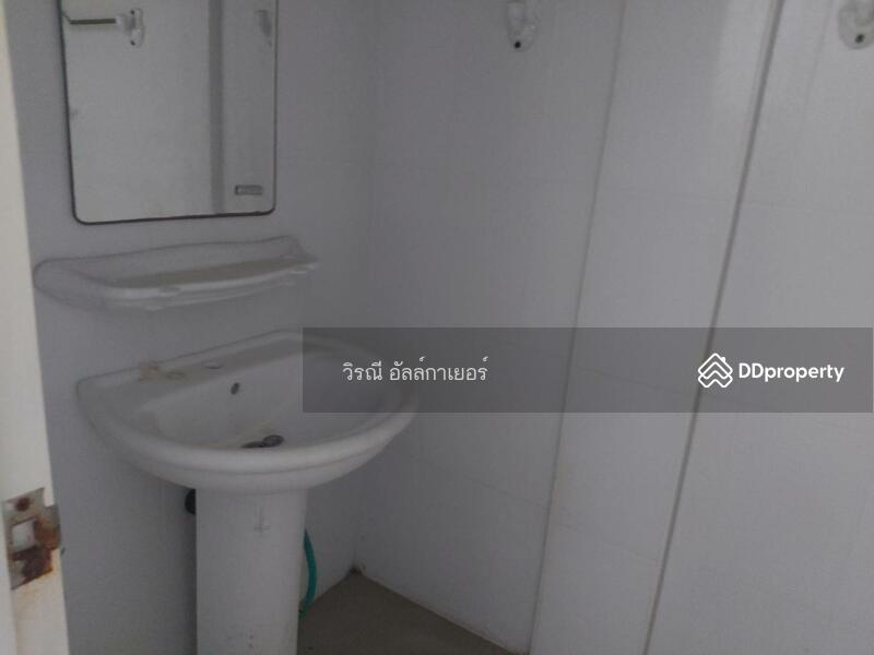 เช่า อาคารพาณิชย์, Nakhon Ratchasima, Ban Mai, Muang Nakhon Ratchasima, Nakhon Ratchasima, , 220 sqm, Shophouse For Rent, by วิรณี, 8122700 - DDproperty.com