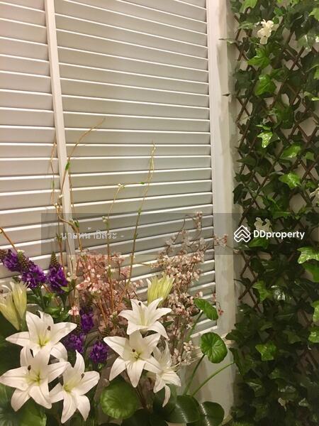 เดอะ วิว ทัสคานี ซ.บ้านเก่าน้อย ต.หมากแข้ง อ.เมือง จ.อุดรธานี : The will tuscany, Soi Baan kao noi, Udon Thani, รอบเมืองอุดรธานี, Mak Khaeng, Muang Udon Thani, Udon Thani, 2 Bedrooms, 140 sqm, Townhouse For Sale, by Kulaya Thanapura, 8134786 - DDproperty.com