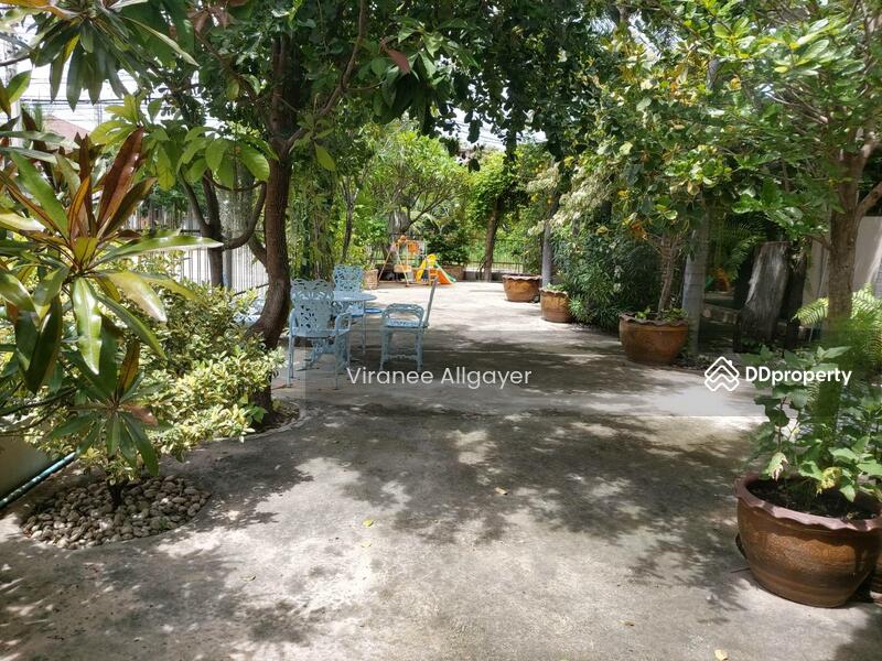 ขาย, Nakhon Ratchasima, Mun Wai, Muang Nakhon Ratchasima, Nakhon Ratchasima, 4 Bedrooms, 220 sqm, Single Detached House For Sale, by วิรณี, 8152150 - DDproperty.com
