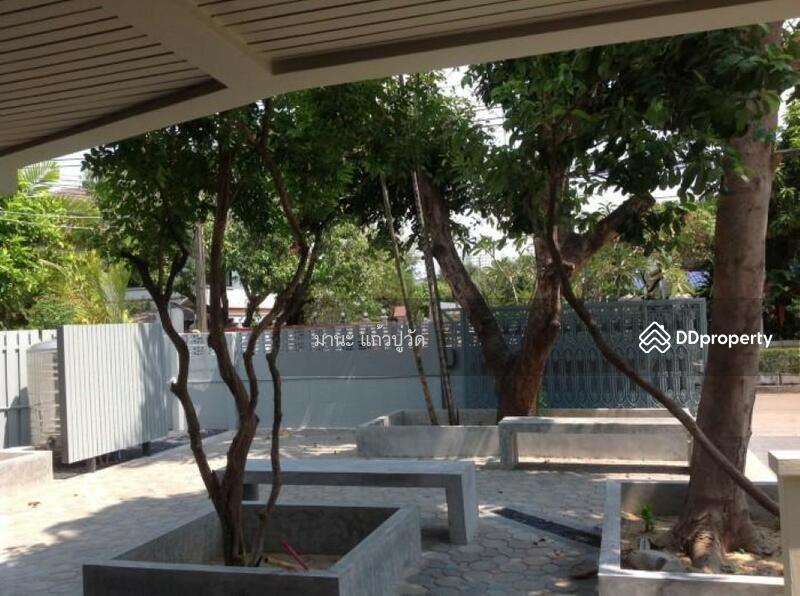 เมืองทอง, Bangkok, พัฒนาการ74, Prawet, Bangkok, 4 Bedrooms, 250 sqm, Single Detached House For Rent, by กุลจิรา อภัยโส, 8161454 - DDproperty.com