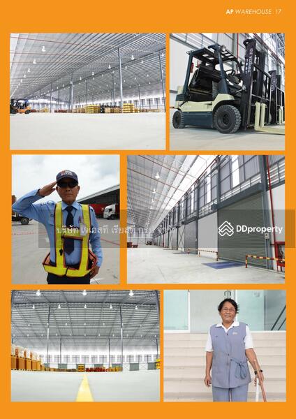 AP Warehouse 1, ชลบุรี, ap warehouse, หนองขาม, ศรีราชา, ชลบุรี, 6,800 ตร.ม., โกดัง-โรงงาน ให้เช่า, โดย บริษัท เจเอสที เรียลตี้ กรุ๊ป จำกัด, 8190374 - DDproperty.com