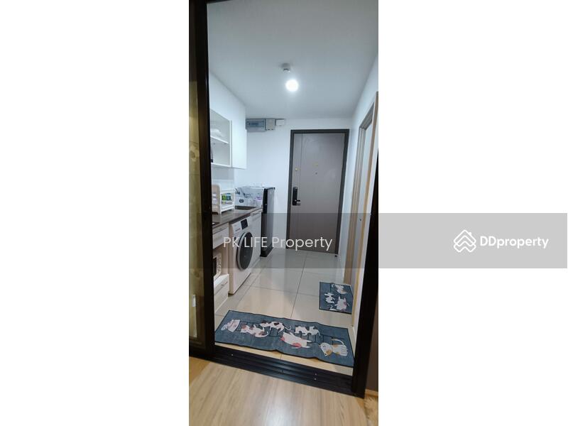 The Base Central, Phuket, Chao Fah Tawan Tok Rd, Wichit, Muang Phuket, Phuket, 1 Bedroom, 29 sqm, Condo For Rent, by PK LIFE Property, 8192248 - DDproperty.com