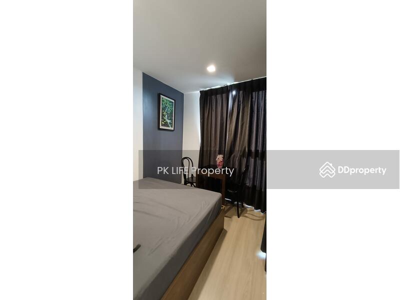The Base Central, Phuket, Chao Fah Tawan Tok Rd, Wichit, Muang Phuket, Phuket, 1 Bedroom, 29 sqm, Condo For Rent, by PK LIFE Property, 8192248 - DDproperty.com