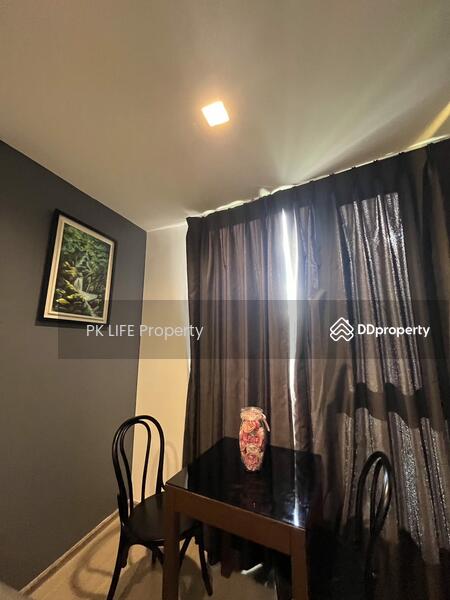 The Base Central, Phuket, Chao Fah Tawan Tok Rd, Wichit, Muang Phuket, Phuket, 1 Bedroom, 29 sqm, Condo For Rent, by PK LIFE Property, 8192248 - DDproperty.com