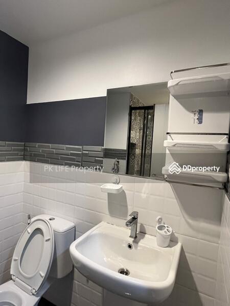 The Base Central, Phuket, Chao Fah Tawan Tok Rd, Wichit, Muang Phuket, Phuket, 1 Bedroom, 29 sqm, Condo For Rent, by PK LIFE Property, 8192248 - DDproperty.com