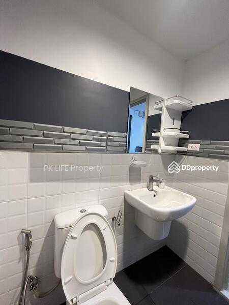 The Base Central, Phuket, Chao Fah Tawan Tok Rd, Wichit, Muang Phuket, Phuket, 1 Bedroom, 29 sqm, Condo For Rent, by PK LIFE Property, 8192248 - DDproperty.com