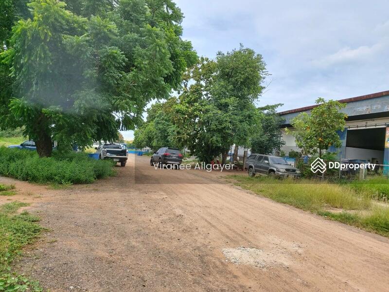 เช่า, Nakhon Ratchasima, Nong Rawiang, Muang Nakhon Ratchasima, Nakhon Ratchasima, , 400 sqm, Warehouse/Factory For Rent, by วิรณี, 8223018 - DDproperty.com