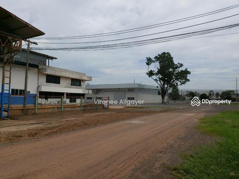 เช่า, Nakhon Ratchasima, Nong Rawiang, Muang Nakhon Ratchasima, Nakhon Ratchasima, , 400 sqm, Warehouse/Factory For Rent, by วิรณี, 8223018 - DDproperty.com