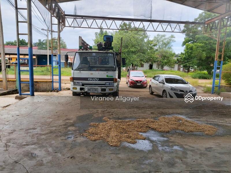 เช่า, Nakhon Ratchasima, Nong Rawiang, Muang Nakhon Ratchasima, Nakhon Ratchasima, , 400 sqm, Warehouse/Factory For Rent, by วิรณี, 8223018 - DDproperty.com