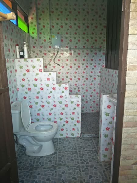ให้เช่าบ้านใกล้เมืองเชียงใหม่ย่าน บริเวณ สันผีเสื้อ, Chiang Mai, San Phi Sua, Muang Chiang Mai, Chiang Mai, 3 Bedrooms, 190 sqm, Single Detached House For Rent, by คุณ ธีรชาติ, 8224110 - DDproperty.com