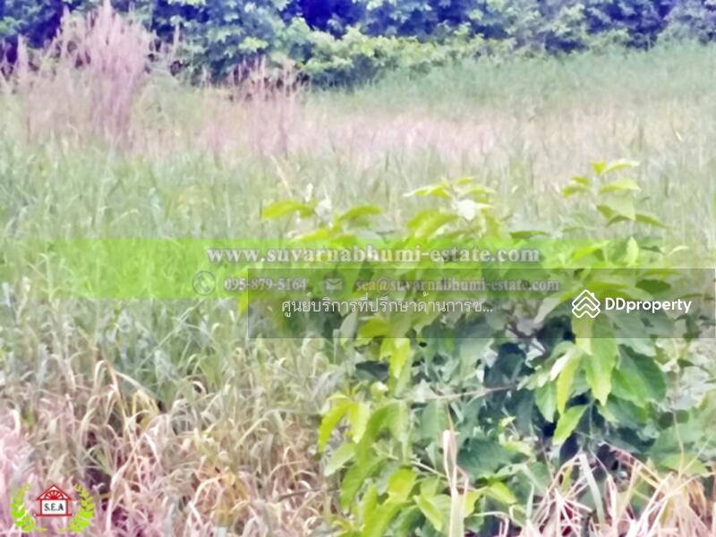 ขาย - ขาย ที่ดิน 1 ไร่ 16 ตารางวา ถนน ร่มเกล้า ลาดกระบัง, กรุงเทพ