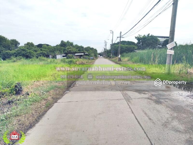 ขาย - ขาย ที่ดิน 1 ไร่ 16 ตารางวา ถนน ร่มเกล้า ลาดกระบัง, กรุงเทพ