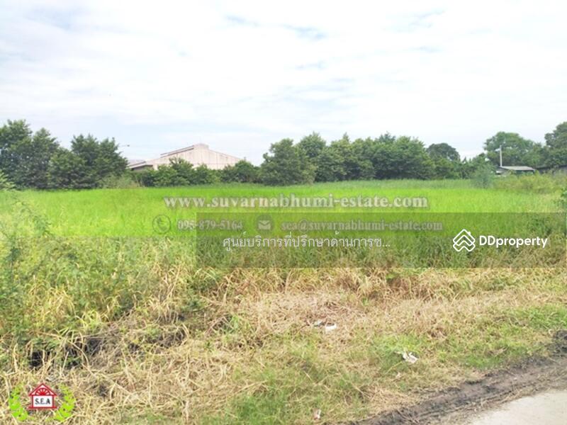 ขาย - ขาย ที่ดิน 1 ไร่ 16 ตารางวา ถนน ร่มเกล้า ลาดกระบัง, กรุงเทพ