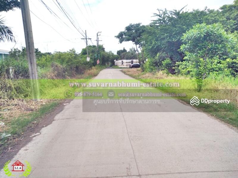 ขาย - ขาย ที่ดิน 1 ไร่ 16 ตารางวา ถนน ร่มเกล้า ลาดกระบัง, กรุงเทพ