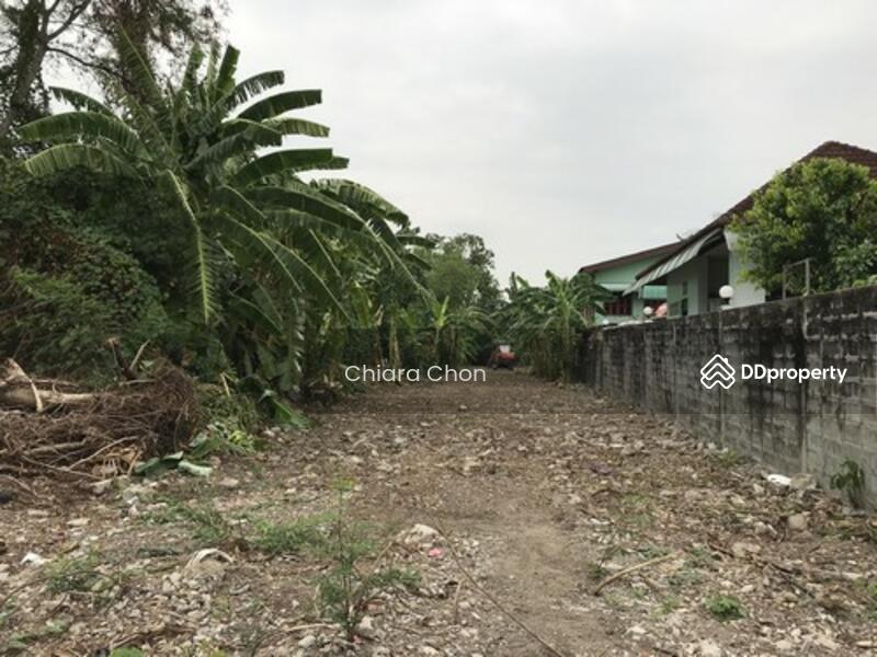 ขายที่ดินสุขุมวิท Land for sale Sukhumvit 101