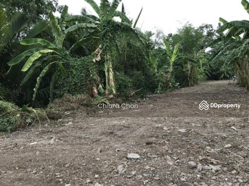 ขายที่ดินสุขุมวิท Land for sale Sukhumvit 101