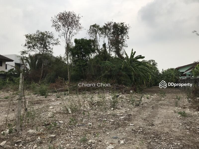 ขายที่ดินสุขุมวิท Land for sale Sukhumvit 101