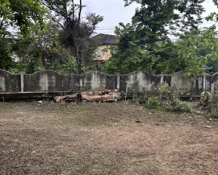 Monthon Ville Village, Phutthamonthon Sai 2, Bangkok, ถนนพุทธมณฑลสาย2, Sala Thammasop, Thawi Watthana, Bangkok, 5 Bedrooms, 180 sqm, Single Detached House For Rent, by Thanitcha Kangkasuwanno, 8271749 - DDproperty.com