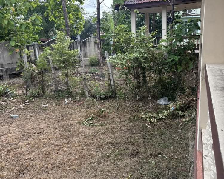 หมู่บ้านมณฑลวิลล์ พุทธมณฑลสาย 2, กรุงเทพ, ถนนพุทธมณฑลสาย2, ศาลาธรรมสพน์, ทวีวัฒนา, กรุงเทพ, 180 ตร.ม., บ้านเดี่ยว ให้เช่า, โดย Thanitcha Kangkasuwanno, 8271749 - DDproperty.com