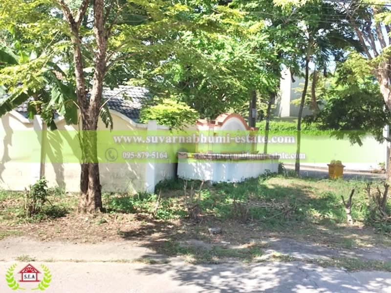 พุทธมณฑลสาย 2, Bangkok, Sala Thammasop, Thawi Watthana, Bangkok, 5 Bedrooms, 20 sqm, Single Detached House For Rent, by Thanitcha Kangkasuwanno, 8271749 - DDproperty.com