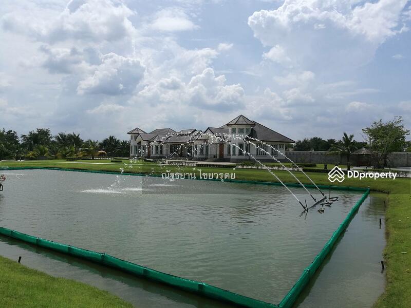 For Sale - บ้านเดี่ยว ชั้นเดียว 2 หลัง สร้างใหม่ไม่เคยเข้าอยู่ ใก้ลวัดศรีษะทอง สามควายเผือก นครปฐม สวย น่าอยู่, Nakhon Pathom