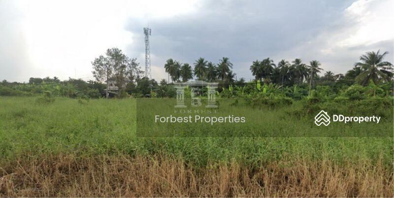 ขาย - 40219 ขายที่ดินหมู่บ้านเศรษฐกิจ เพชรเกษม เนื้อที่ 4-0-70 ไร่ | 40219