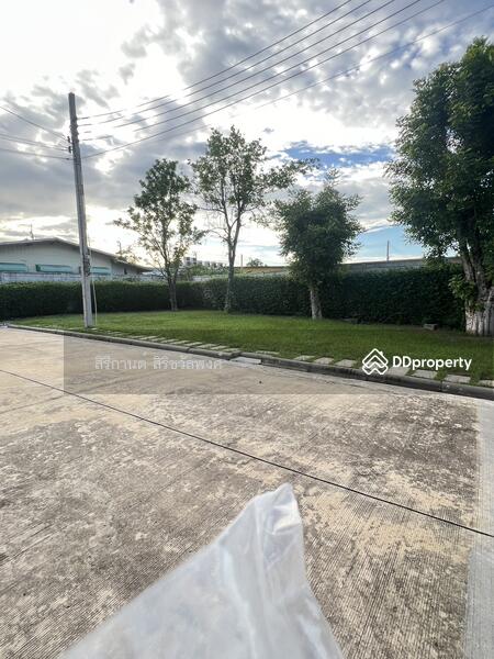 For Rent - พลีโน่ ชัยพฤกษ์-รัตนาธิเบศร์, Nonthaburi