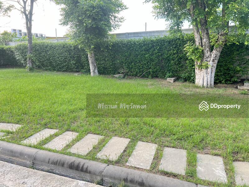 For Rent - พลีโน่ ชัยพฤกษ์-รัตนาธิเบศร์, Nonthaburi