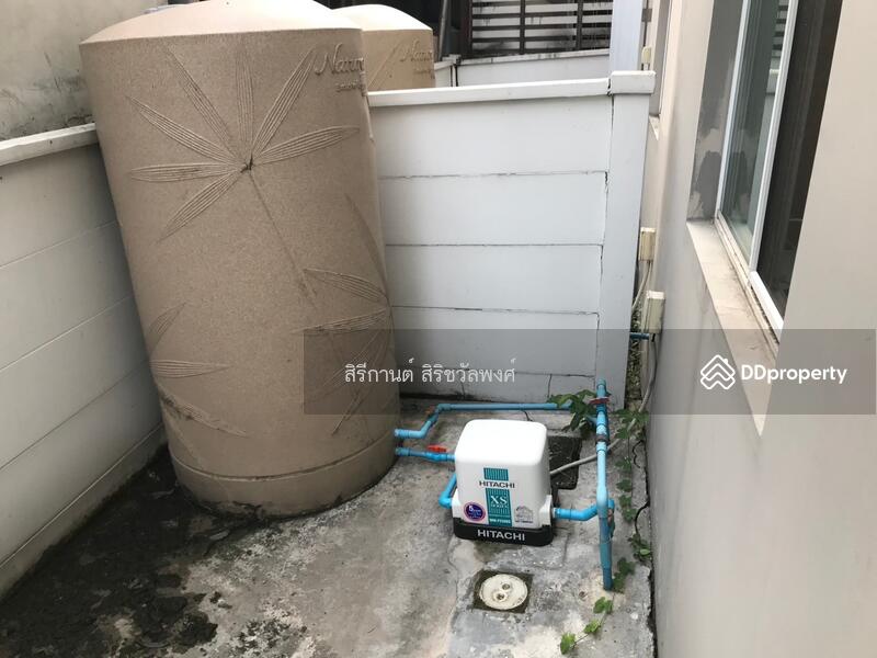 For Rent - พลีโน่ ชัยพฤกษ์-รัตนาธิเบศร์, Nonthaburi