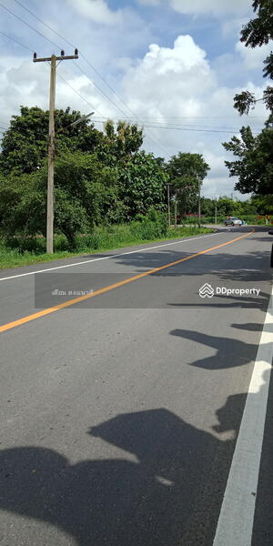 ติดถนน4004  