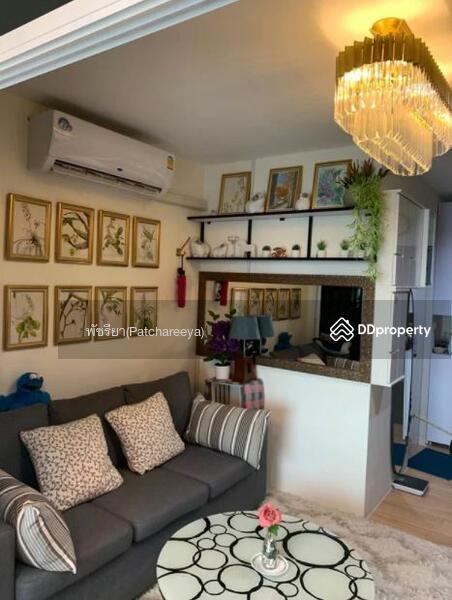 Asakan Place Srinakarin, Bangkok, 617 Srinakarin Road, Suan Luang, Bangkok, 1 Bedroom, 30 sqm, Condo For Rent, by Living Condo, 8334522 - DDproperty.com